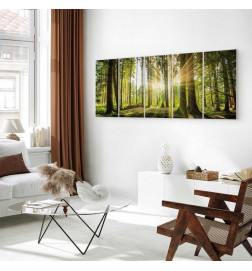 Canvas Print - Sunlight