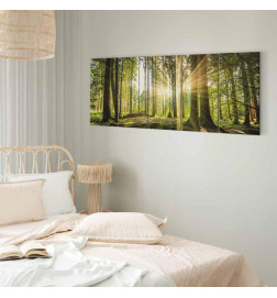 Canvas Print - Sunlight