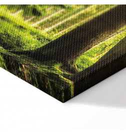 Canvas Print - Sunlight