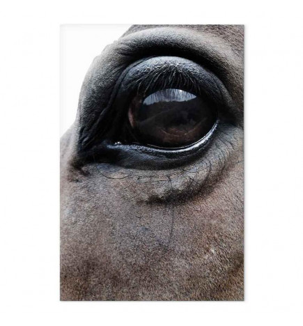 Tableau - Honest Eyes (1 Part) Vertical