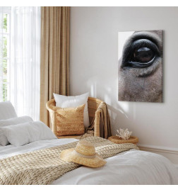 Tableau - Honest Eyes (1 Part) Vertical