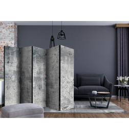 Paravento - Fresh Concrete II