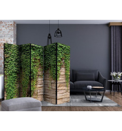 Paravento - Ivy wall II