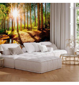 Mural de parede - Marvelous Forest