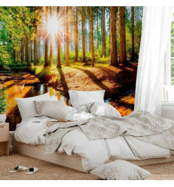 Wall Mural - Marvelous Forest