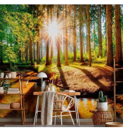 Fotomural - Marvelous Forest