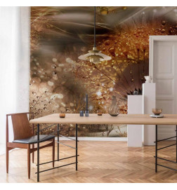 Fototapeta - Dandelions World (Gold)