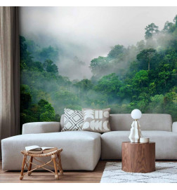 Wall Mural - Morning Fog
