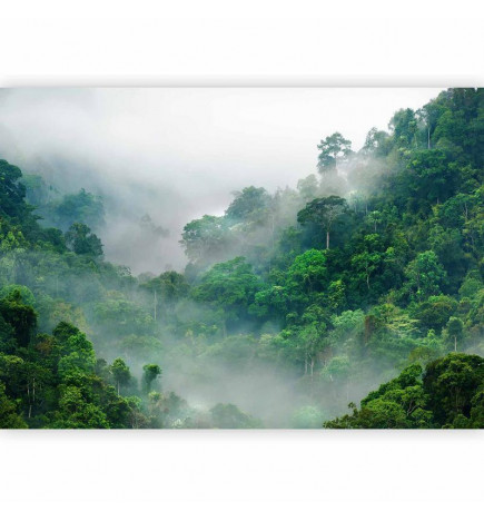 Fototapete - Morning Fog