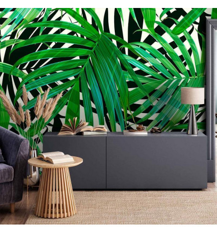 Fotomural - Tropical Leaves