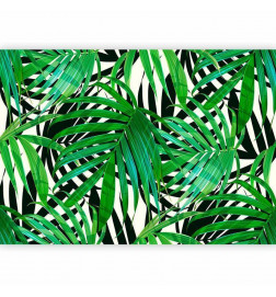 Fototapetti - Tropical Leaves