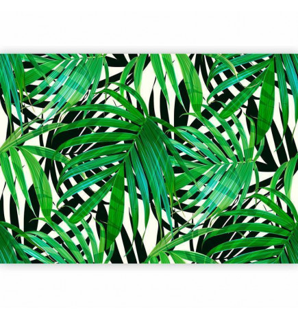 Fototapeet - Tropical Leaves