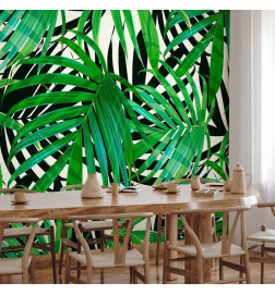 Fotobehang - Tropical Leaves