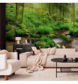 Foto tapete - Humid Forest