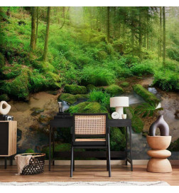 Foto tapete - Humid Forest