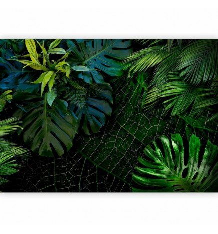 Papier peint - Dark Jungle