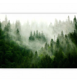 Carta da parati - Mountain Forest (Green)