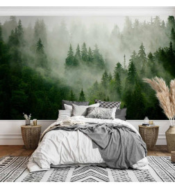 Fototapeet - Mountain Forest (Green)