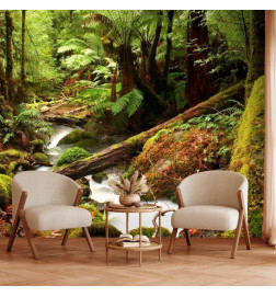 Wall Mural - Forest Brook