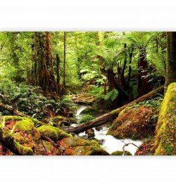 Fotobehang - Forest Brook