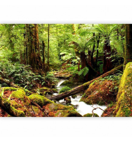 Foto tapete - Forest Brook