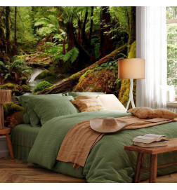 Wall Mural - Forest Brook