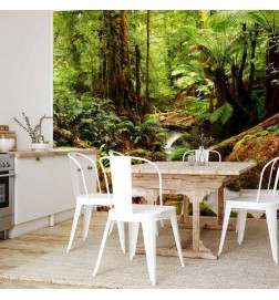 Wall Mural - Forest Brook