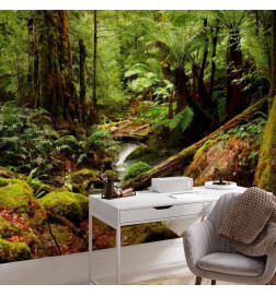 Fototapetas - Forest Brook