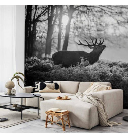 Fotomural - Deers in the Morning