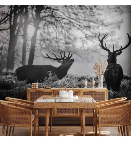 Mural de parede - Deers in the Morning