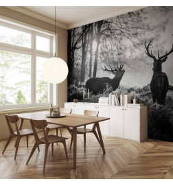 Fototapeet - Deers in the Morning