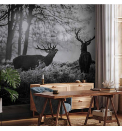 Wall Mural - Deers in the Morning