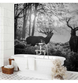 Fotobehang - Deers in the Morning