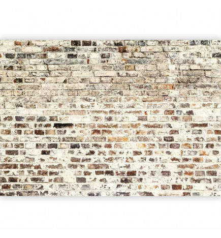 Fototapetti - Impressive Facade