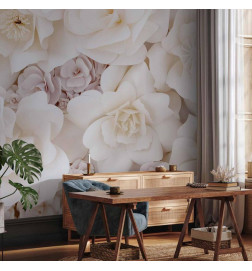 Fototapeta - Floral Display