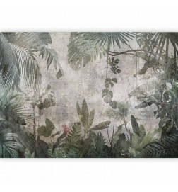 Foto tapete - Rain Forest in the Fog