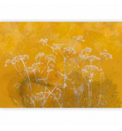 Fototapete - Meadow Bathed in the Sun