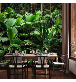 Mural de parede - Freshness of the Jungle