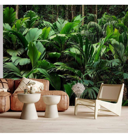 Mural de parede - Freshness of the Jungle