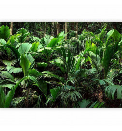 Mural de parede - Freshness of the Jungle