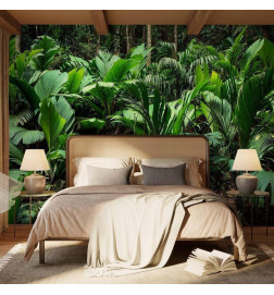 Wall Mural - Freshness of the Jungle