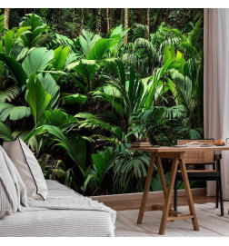 Mural de parede - Freshness of the Jungle