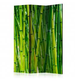 124,00 €Biombo - Bamboo Forest [Room Dividers]