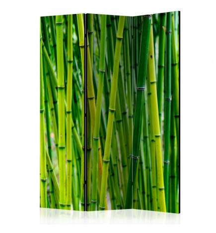 3-teiliges Paravent - Bamboo Forest [Room Dividers]