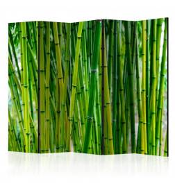 172,00 € Biombo - Bamboo Forest II [Room Dividers]