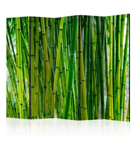 5-teiliges Paravent - Bamboo Forest II [Room Dividers]