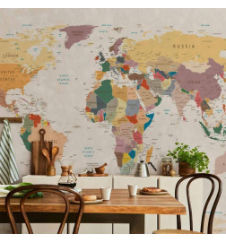 Wall Mural - World Map
