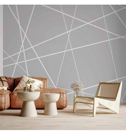 Foto tapete - Modern Cobweb