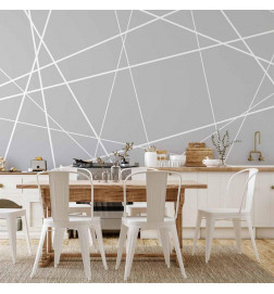 Papier peint - Modern Cobweb