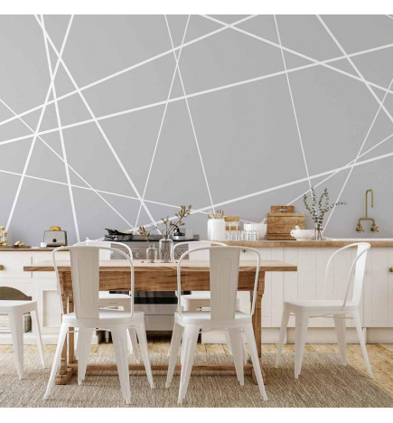 Foto tapete - Modern Cobweb